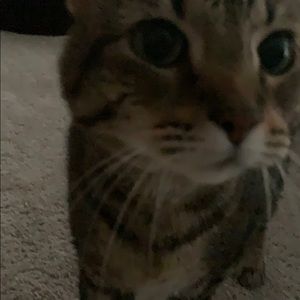 Meet your Posher, Jordan